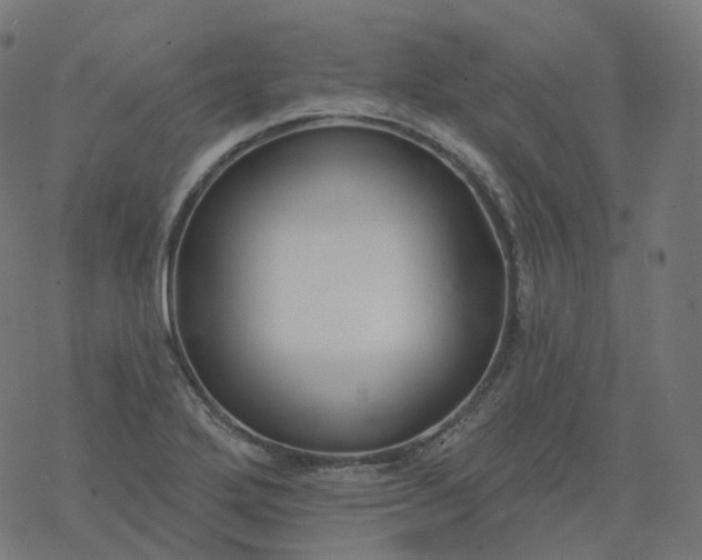 X0000077401272200611032017