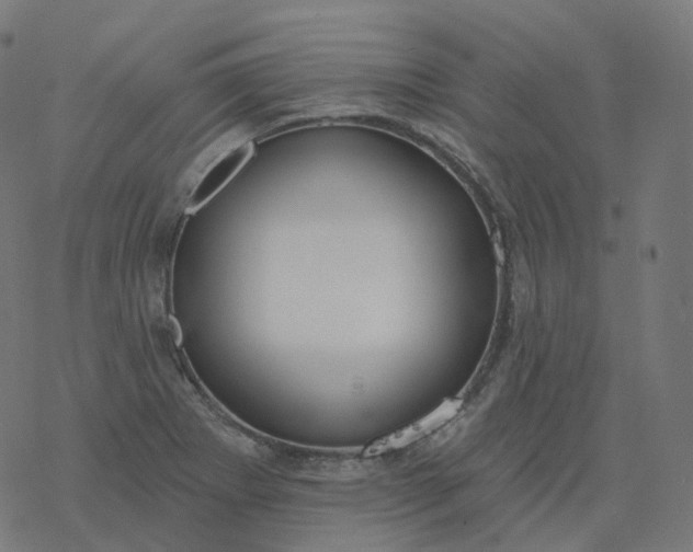 X0000077401273200611032017