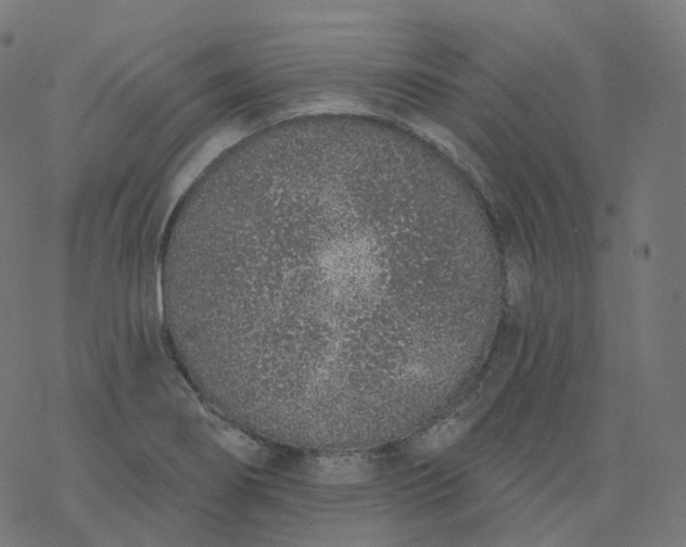 X0000077401274200611032017