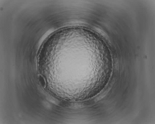 X0000077401275200611032017