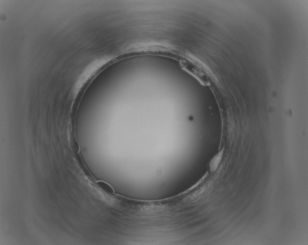 X0000077401277200611032017