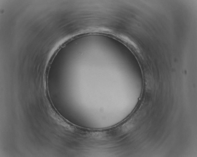 X0000077401280200611032017