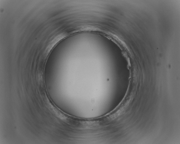 X0000077401281200611032017