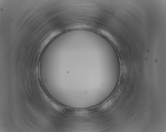 X0000077401282200611032017