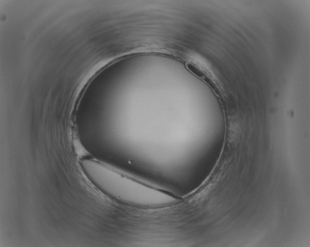 X0000077401284200611032017