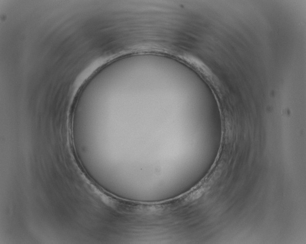 X0000077401286200611032017