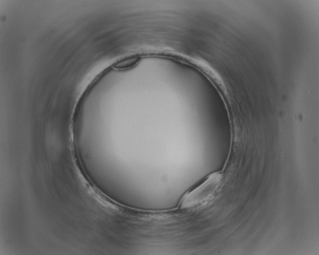 X0000077401287200611032017