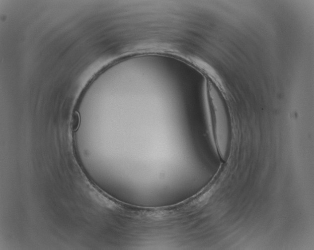 X0000077401288200611032017