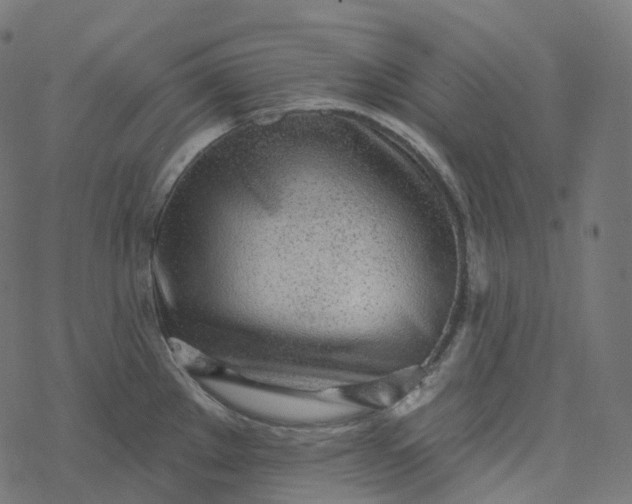 X0000077401289200611032017