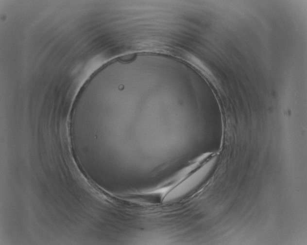 X0000077401291200611032017