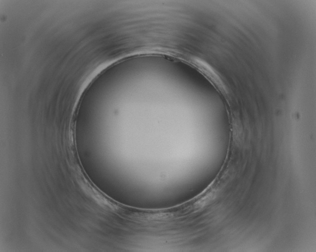 X0000077401292200611032017