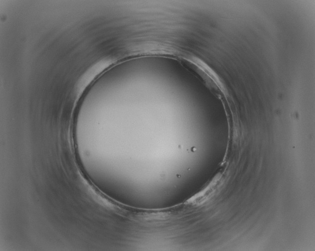 X0000077401293200611032017