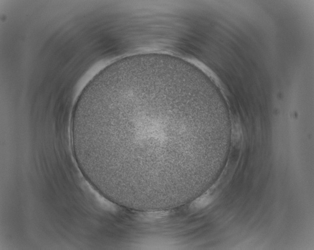 X0000077401294200611032017