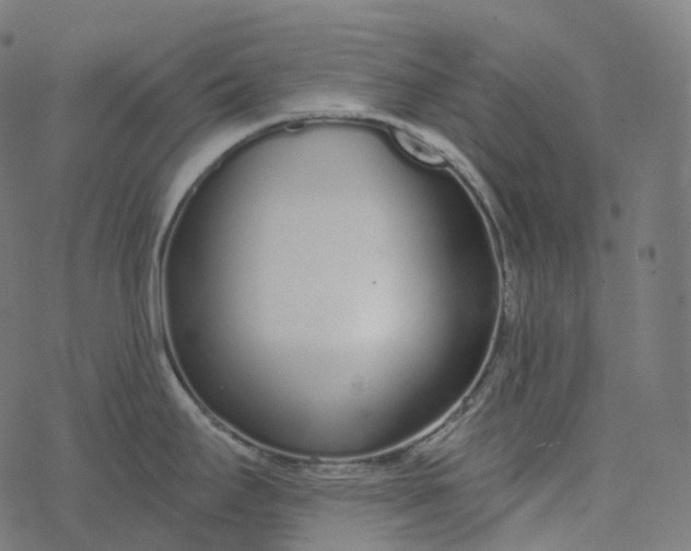 X0000077401295200611032017