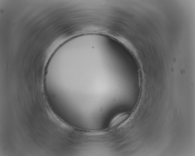 X0000077401296200611032017