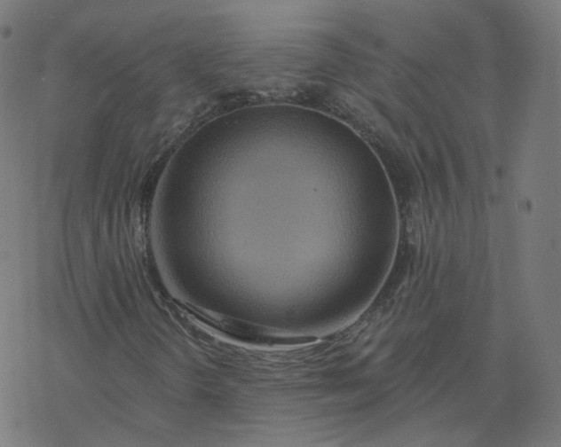 X0000077401298200611032016