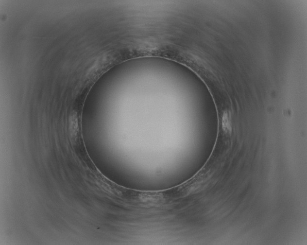 X0000077401299200611032016