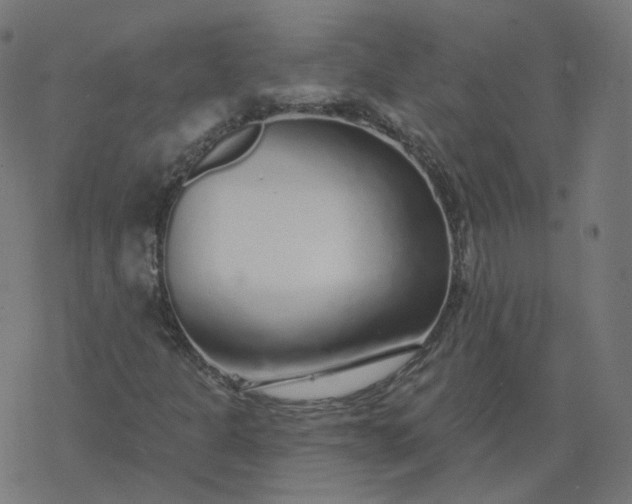 X0000077401301200611032016