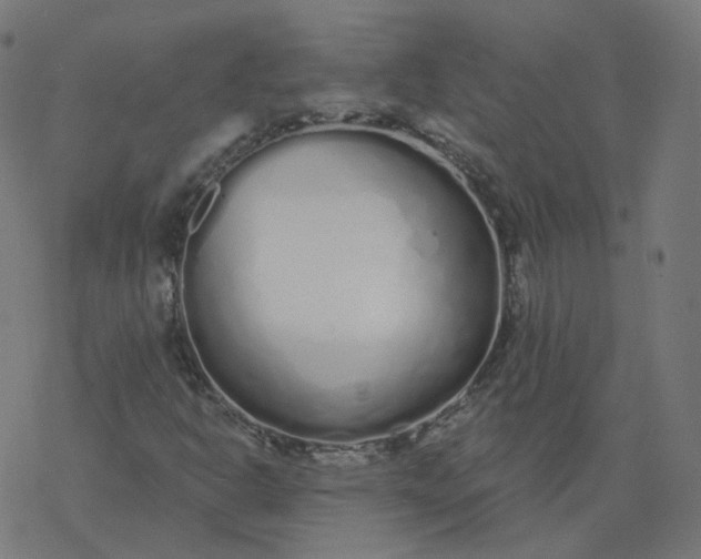 X0000077401302200611032016