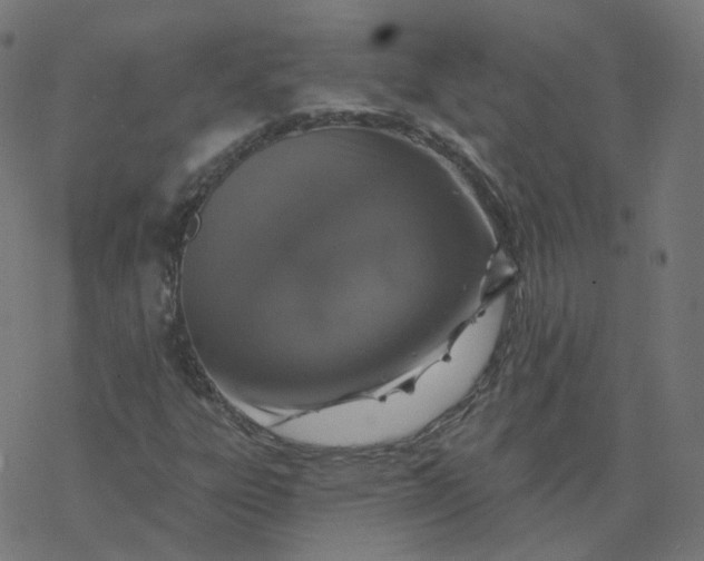 X0000077401303200611032016