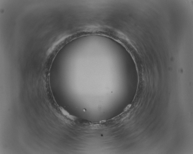 X0000077401304200611032016