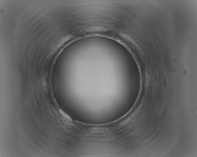 X0000077401305200611032016