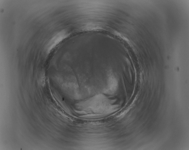 X0000077401306200611032016