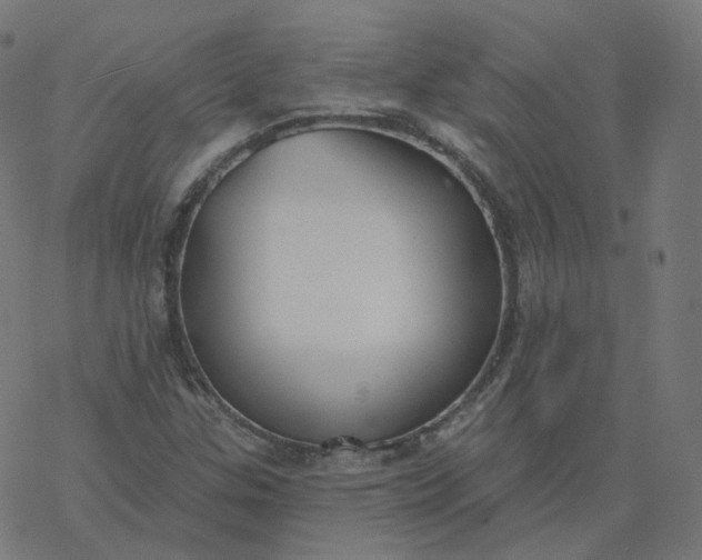 X0000077401307200611032016