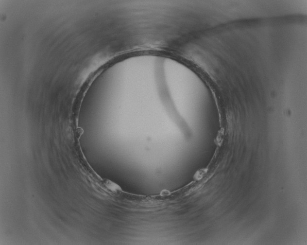 X0000077401308200611032016