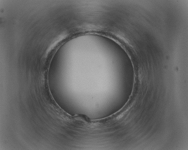 X0000077401309200611032016