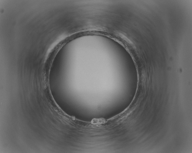 X0000077401310200611032016