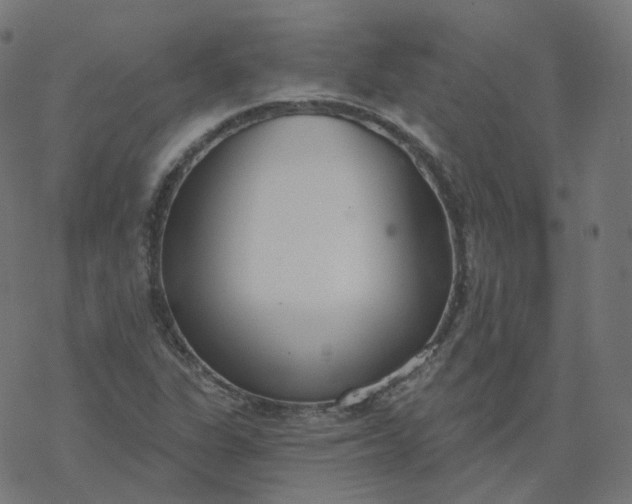 X0000077401311200611032016