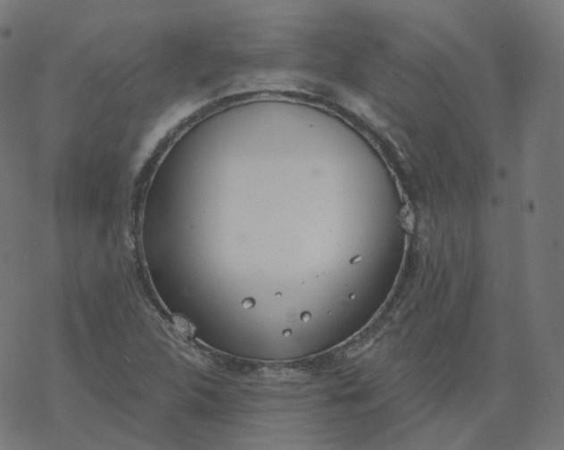 X0000077401312200611032016