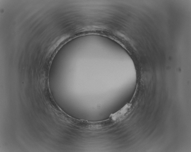 X0000077401313200611032016