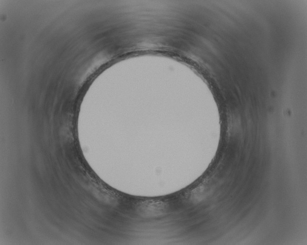 X0000077401314200611032016