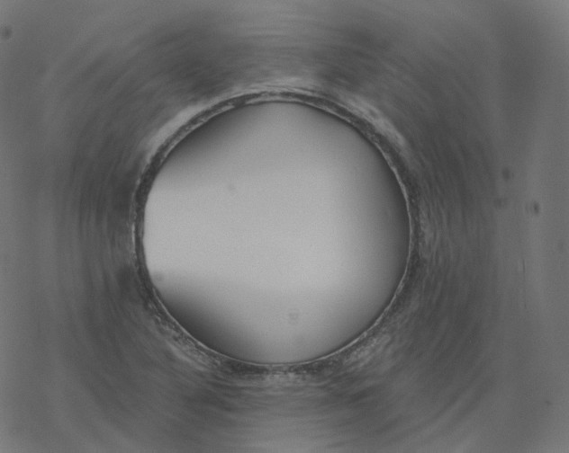 X0000077401316200611032016