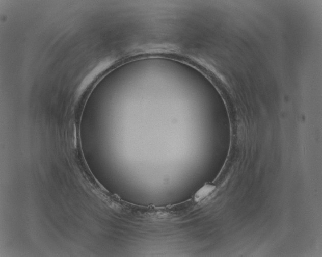 X0000077401317200611032017