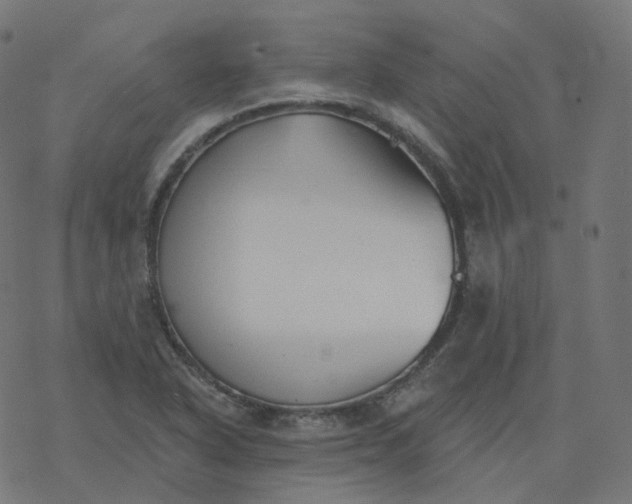 X0000077401318200611032017