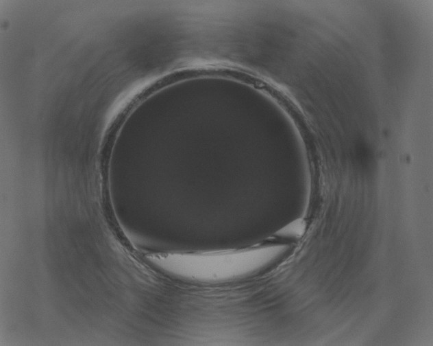 X0000077401319200611032017