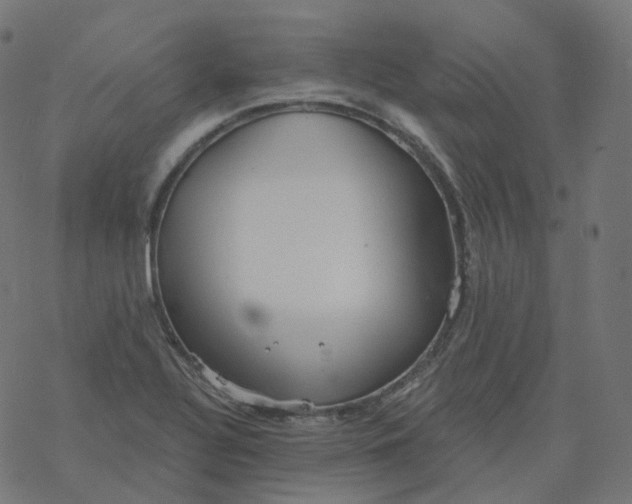 X0000077401320200611032017