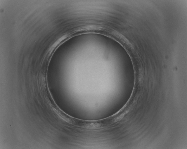 X0000077401321200611032017