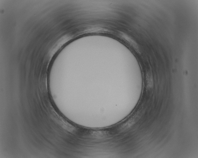 X0000077401322200611032017