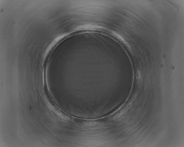 X0000077401323200611032017