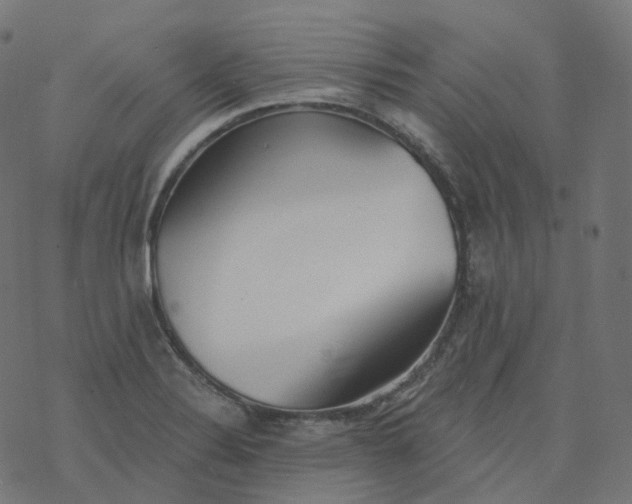 X0000077401324200611032017