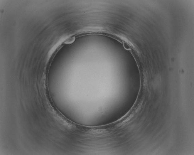 X0000077401325200611032017