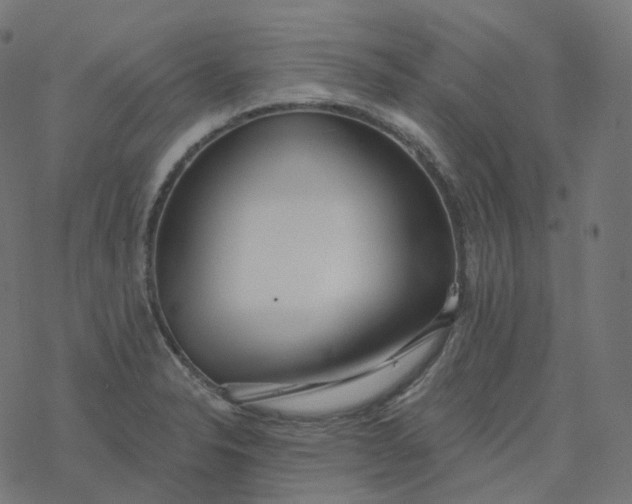 X0000077401326200611032017