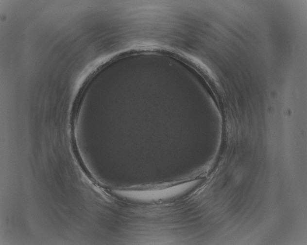 X0000077401327200611032017