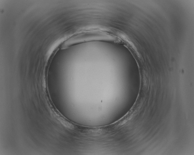 X0000077401328200611032017