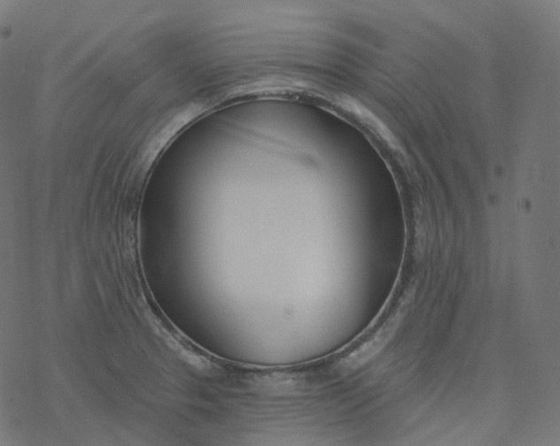 X0000077401329200611032017