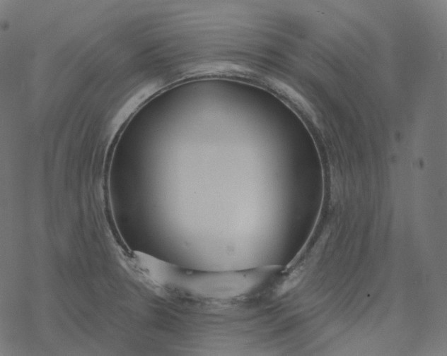 X0000077401330200611032017